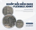 khop-noi-mem-589.jpg