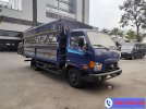 dai-ly-xe-tai-hyundai-tai-thai-binh.jpg