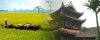 Thai-Binh-chua-Keo-dong-lua.jpg