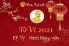 tu-vi-tuoi-ky-ty-2021-nam-mang-1989.jpg