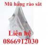 chụp hàng rào sắt.jpg
