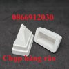 chụp hàng rào.jpg