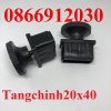 Bochantangchinh 20x40.jpg