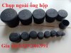 chup-nhua-chan-ong.jpg