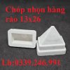 mũ hàng rào 20x40 đẹp.jpg
