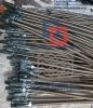 ong-mem-sprinkler-149.JPG