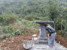 mau-cay-huong-ngoai-nghia-trang.jpeg