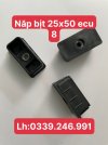 nắp bịt hộp 25x50.jpg