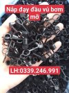 nắp bịt ốc bơm mỡ .jpg
