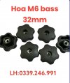 hoa M6 có ecu ở giữa .jpg